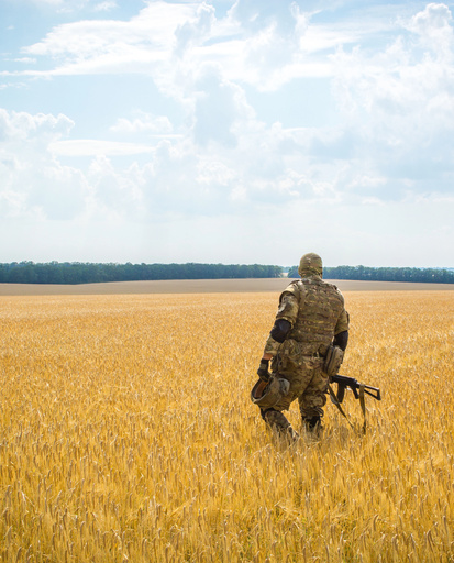 Сутінки агрохолдингів: як війна трансформує АПК