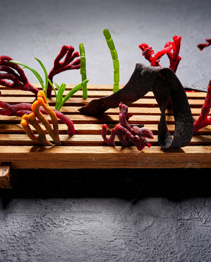 Доступні гранти: до €10 000 для підтримки бізнес-стратегій у сфері морських біотехнологій